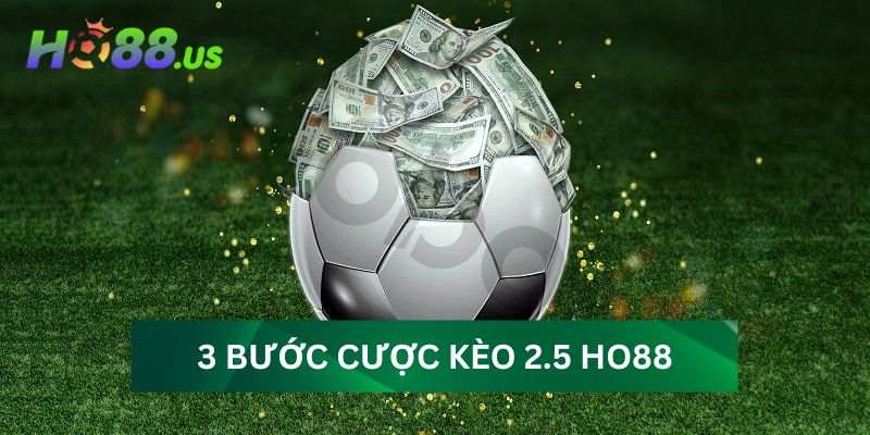 3 bước cược kèo 2.5 HO88