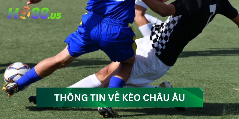 Tổng quan thông tin về kèo châu Âu bạn nên biết Tổng quan thông tin về kèo châu Âu bạn nên biết