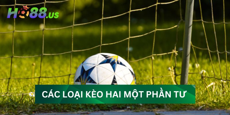 Các loại kèo cược hai một phần tư phổ biến Các loại kèo cược hai một phần tư phổ biến