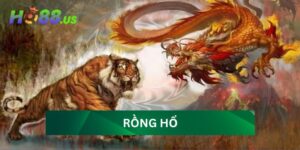 Rồng Hổ