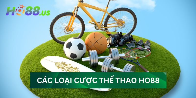 Các loại cược phổ biến trong thể thao tại Ho88 Các loại cược phổ biến trong thể thao tại Ho88