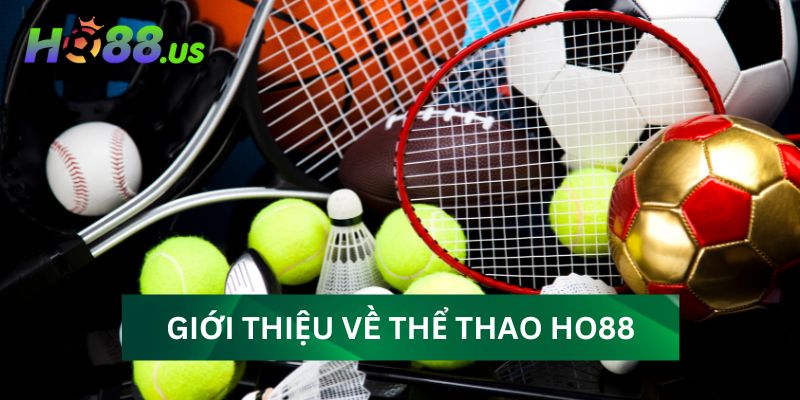 Giới thiệu về thể thao Ho88 và những điểm nổi bật Giới thiệu về thể thao Ho88 và những điểm nổi bật