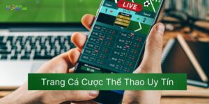Trang Cá Cược Thể Thao Uy Tín